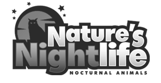 Nature's Night Life