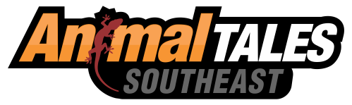 Welcome to Animal Tales - Southeast Region